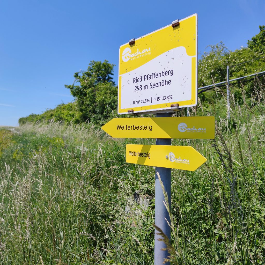 Ried Pfaffenberg