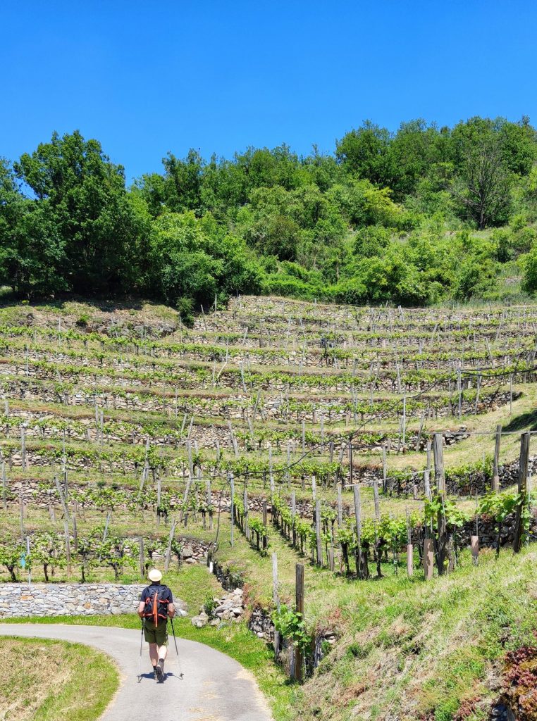 Welterbesteig zwischen Krems und Dürnstein
