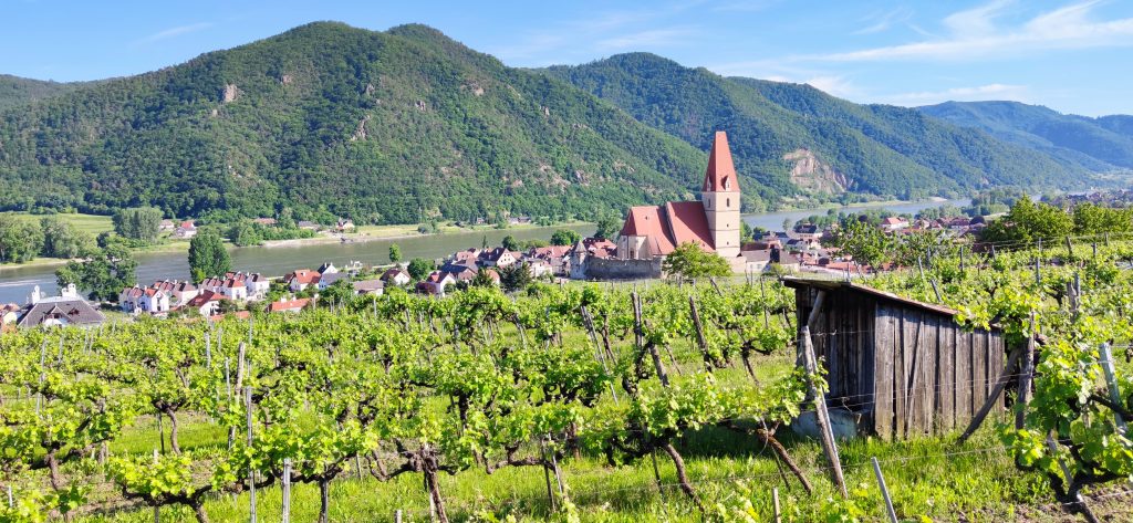 Weinberge und Wehrkirche von Weißenkirchen