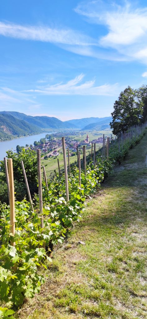View of Weissenkirchen in Wachau Austria