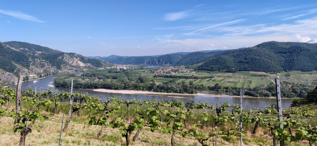 View of danube valley with Duernstein and