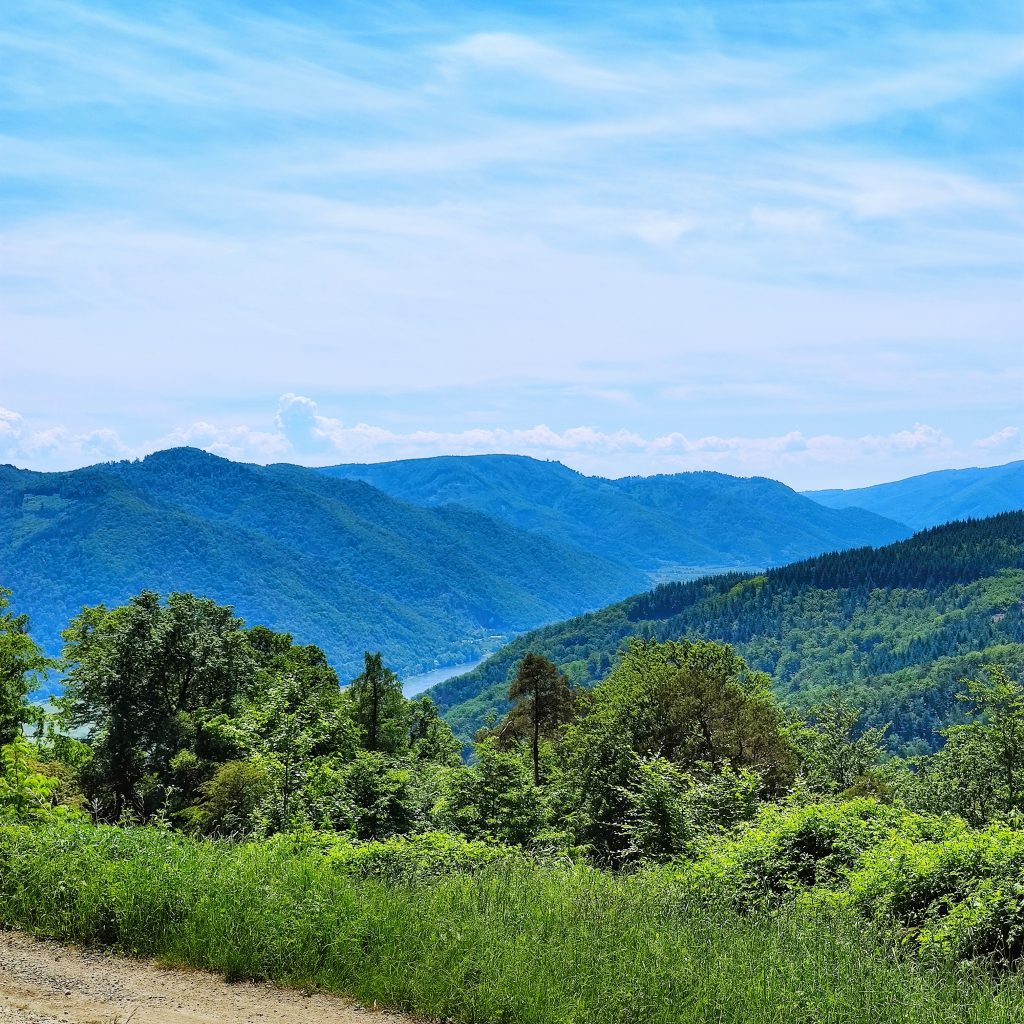 On the way between Duernstein and Weißenkirchen
