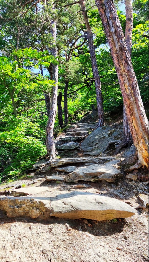 steep stairway on hiking path in Wachau