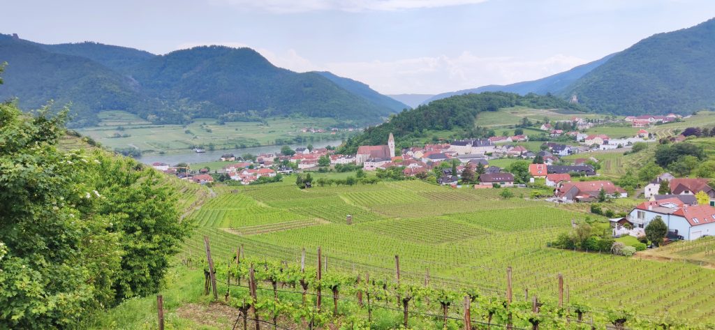 Welterbesteig Wachau Spitz und Weinberge