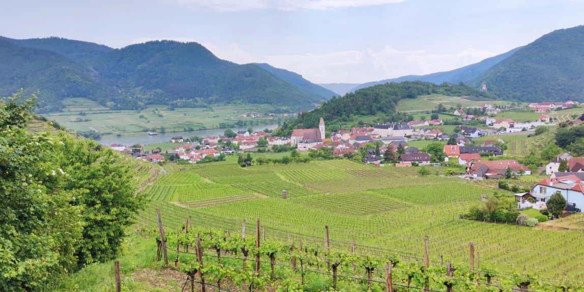 Welterbesteig Wachau Spitz und Weinberge