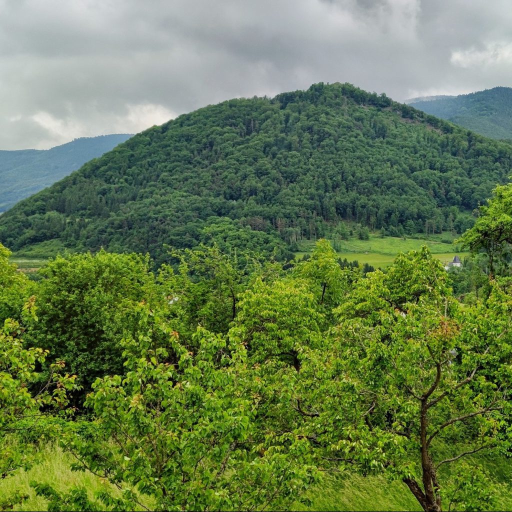 Wachau an der Grenze zum Waldviertel