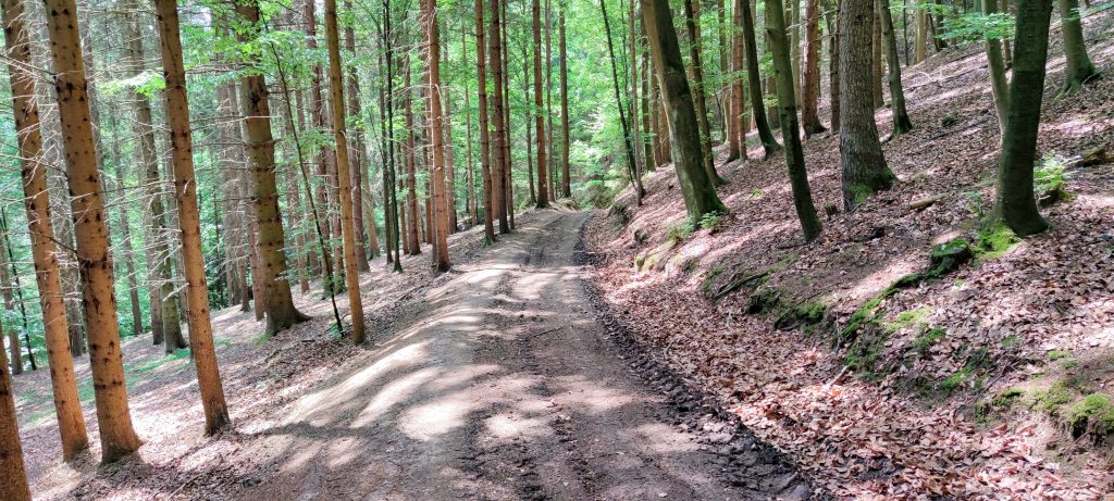 Waldweg