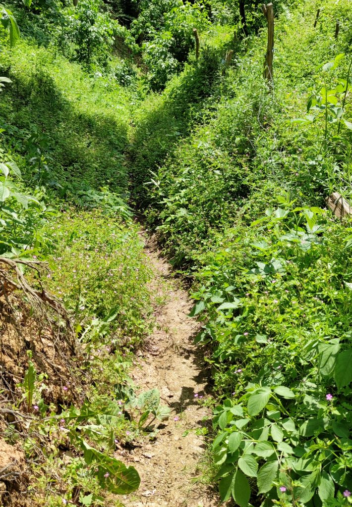 Weg von Rantenberg nach Rain
