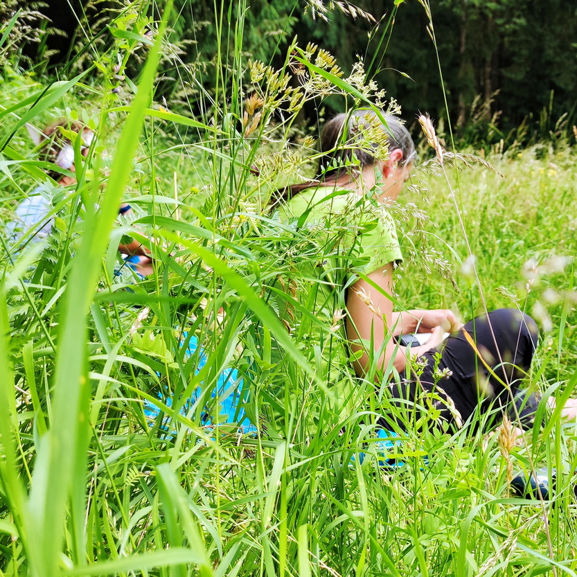 Landart Schärding