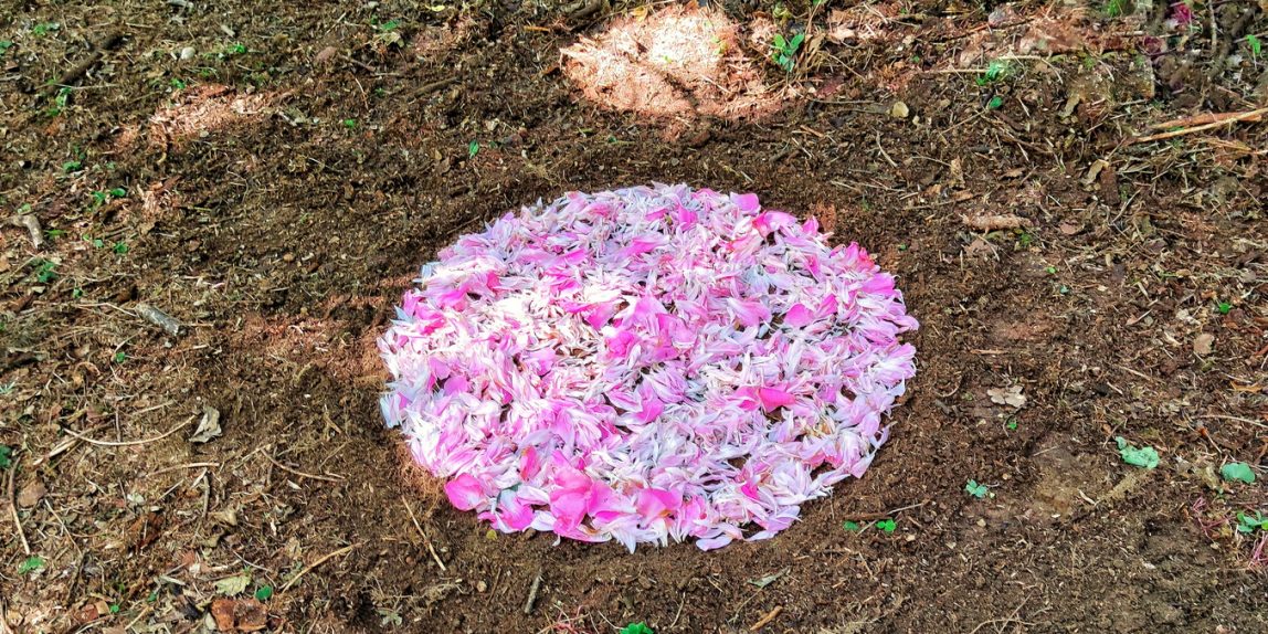 Landart Schärding