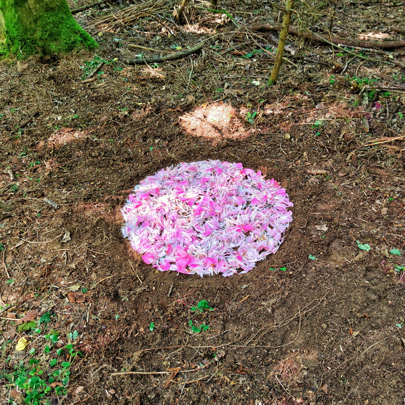 Landart Schärding
