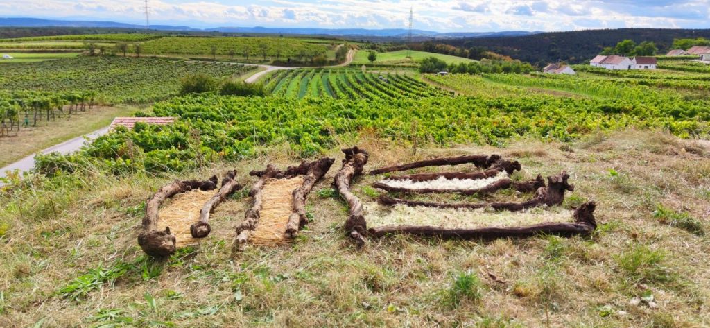 Kunst im Weinberg