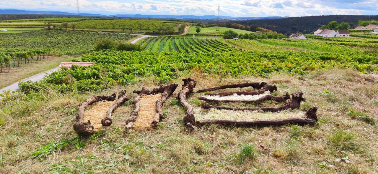 Kunst im Weinberg