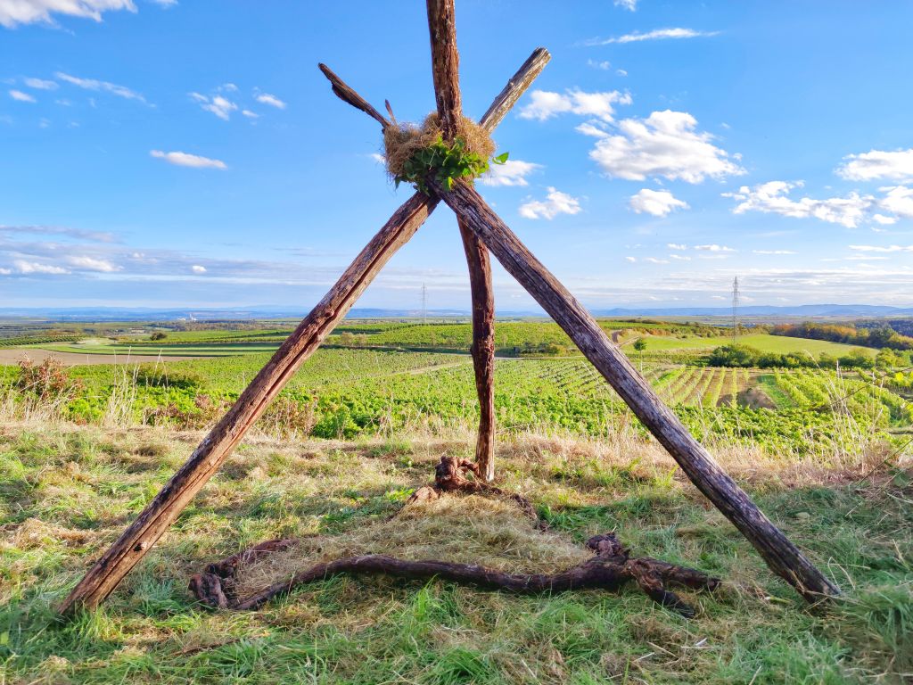 Kunst im Weinberg