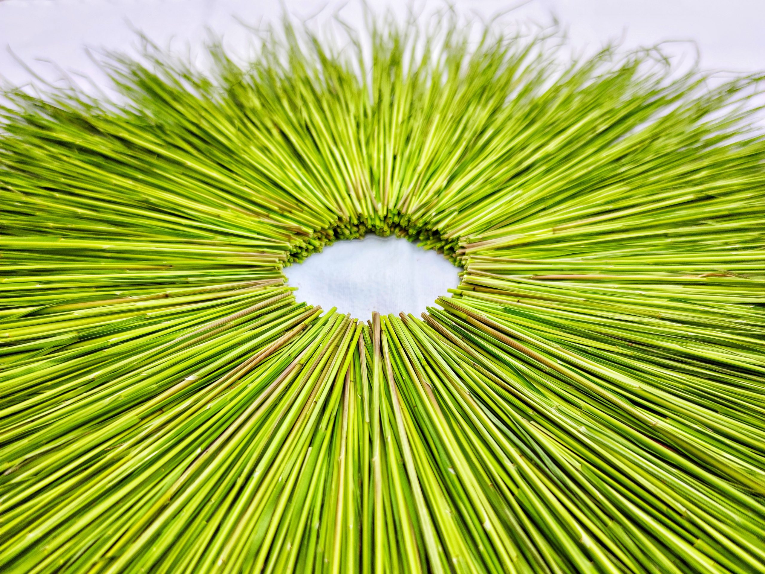 landart in summer