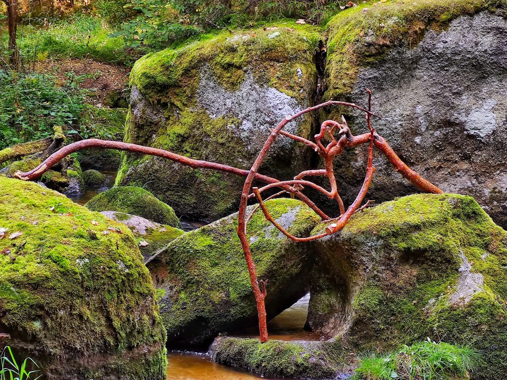 Landart in autumn