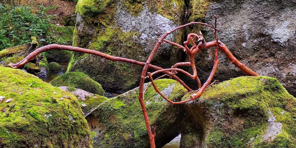 Landart in autumn