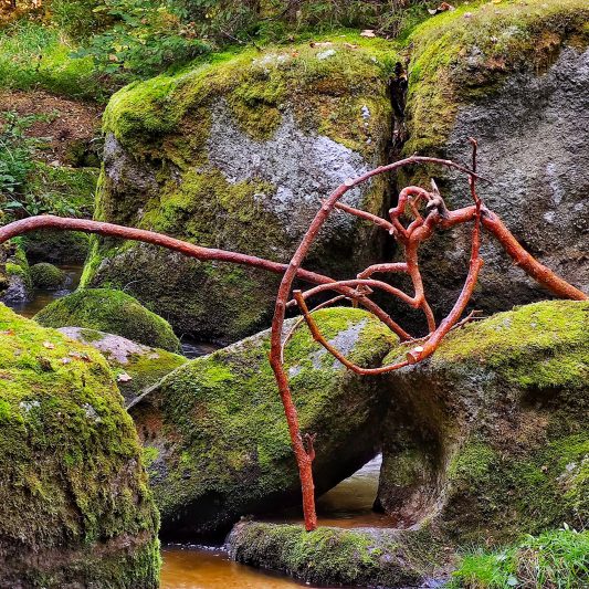 Landart in autumn