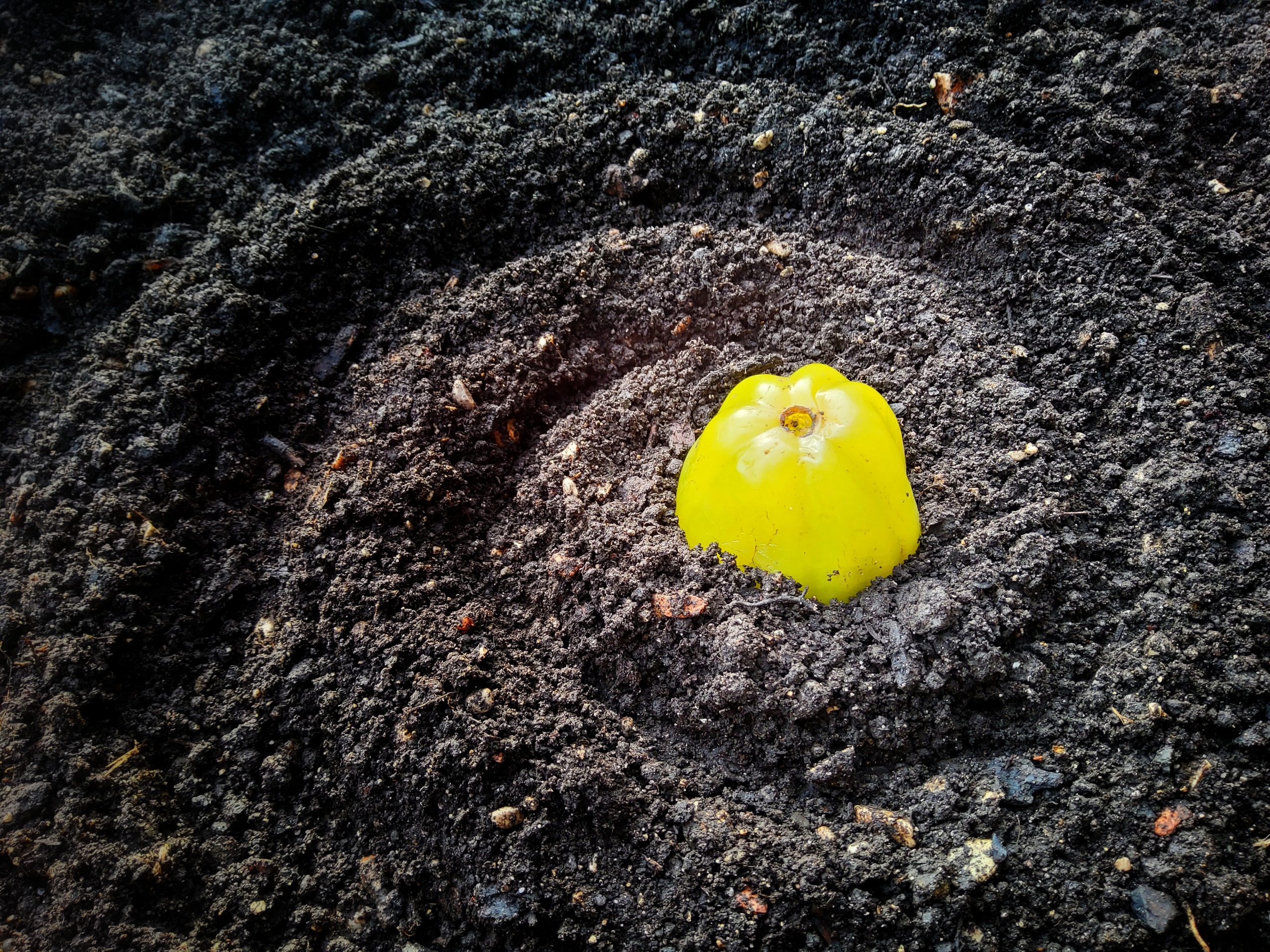 landart in autumn