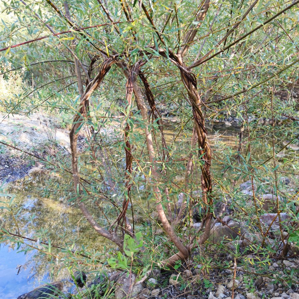 Landart at a mountain river