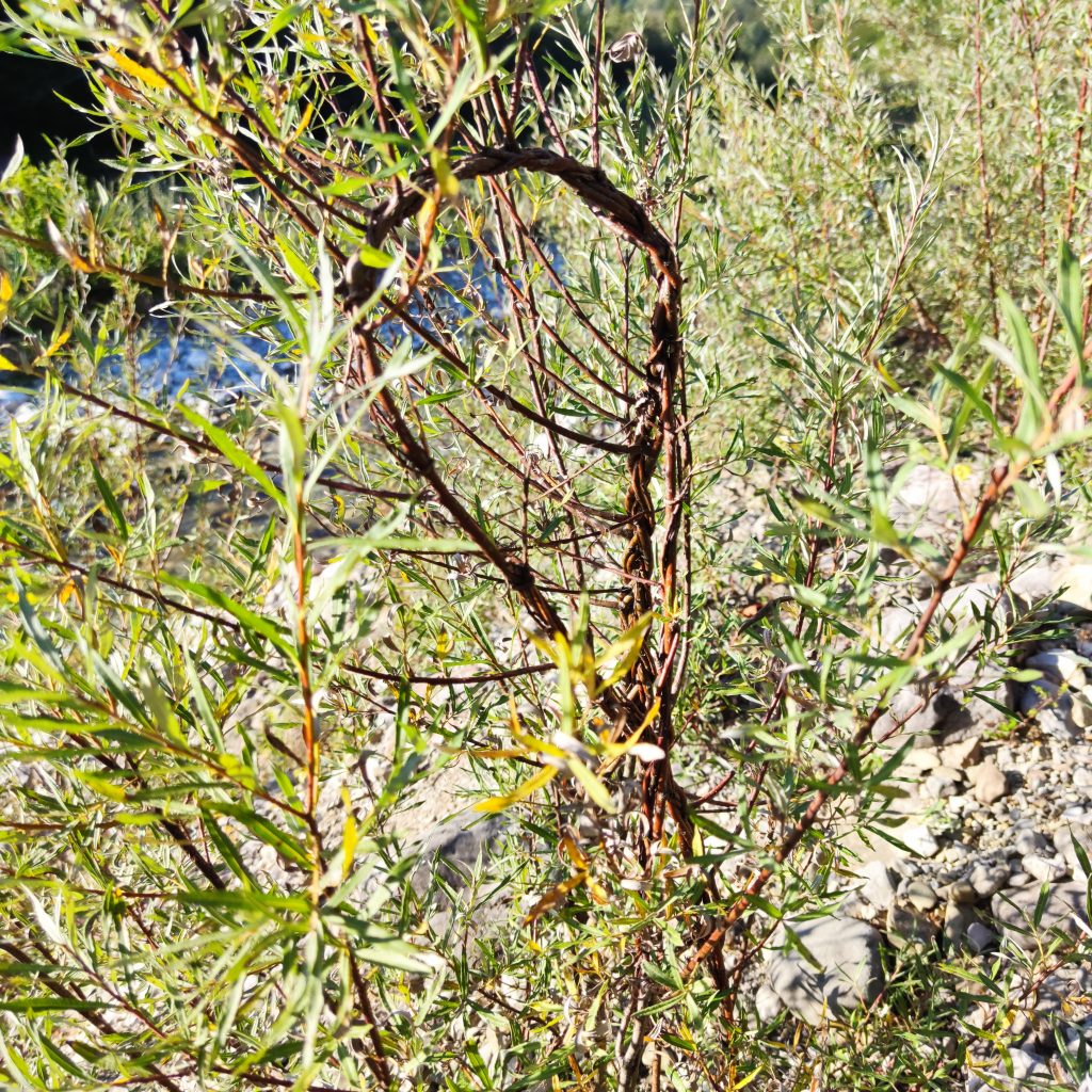 Landart at a mountain river