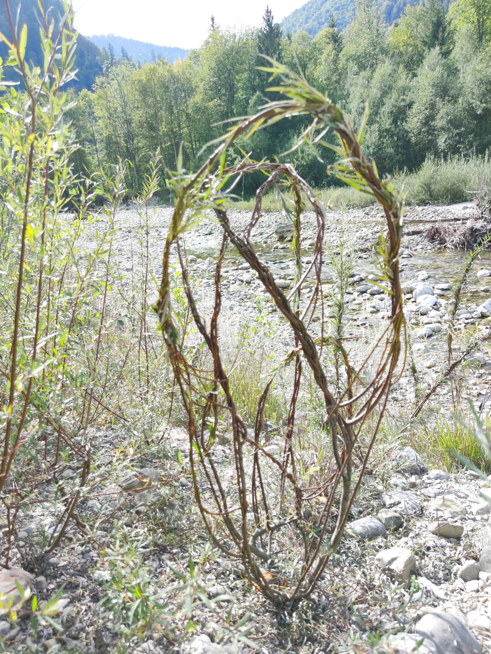 Landart at a mountain river