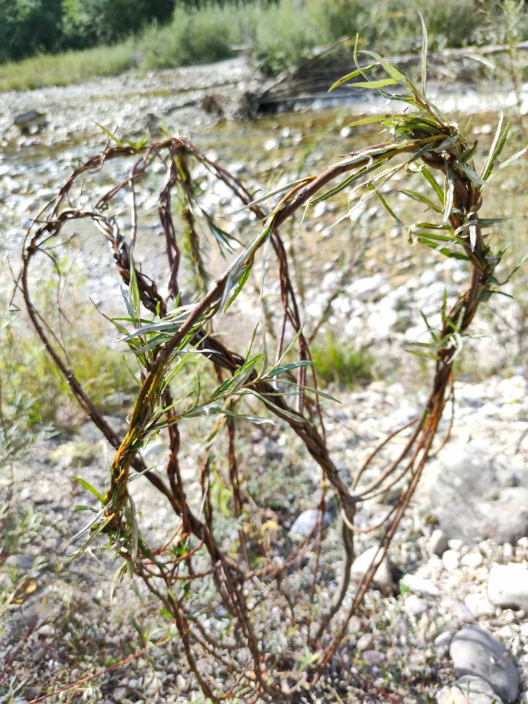 Landart at a mountain river