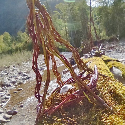 Landart at a mountain river